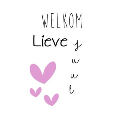 Naambordjevoordeur.nl raamsticker Geboortesticker Welkom lieve met Babynaam meisje